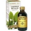 Dr. Giorgini Gemmo 10+ Carpinus Betulus Integratore 100 Ml Omeopatia