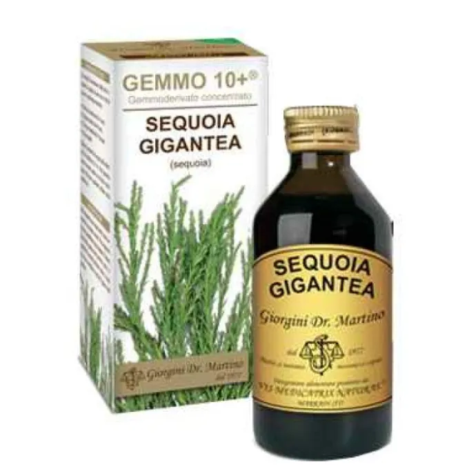 Dr Giorgini Gemmo 10+ Sequoia 100 Ml Analcolico Omeopatia