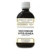 Dr.giorgini Ser-Vis Gemmo 10+ Mirtillo Rosso Liquido Analcolico 500 Ml Omeopatia