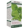 Dr.giorgini Ser-Vis Melissa Estratto Integrale 200 Ml Sonno