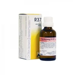 Dr Reckeweg R 37 Rimedio Omeopatico Intestinale Gocce 22 Ml