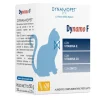 Dynamo F 20 Stick Da 2,5 G
