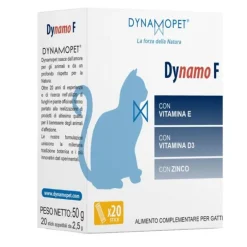 Dynamo F 20 Stick Da 2,5 G