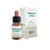 ECOSOL QUINTESSENZA DI ANICE GOCCE 10 ML