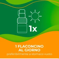 Enterolactis Bevibile 6 Flaconcini X 10 Ml Fermenti Lattici