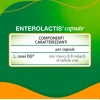 Enterolactis 20 Capsule 300 Mg Fermenti Lattici