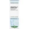 Erba Vita Crisantello Amer Soluzione Idroalcolica 50 Ml