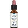 Erba Vita Group Sweet Chestnut Original 10Ml