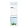Erba Vita Rhodiola Radice Estratto Fluido 50 Ml