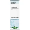 Erba Vita Uva Ursina Foglie Soluzione Idroalcolica 50 Ml
