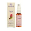 Exam Spray Orale 20 Ml