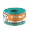 Farmac-Zabban Cerotto Meds Tessuto Non Tessuto 500X2,5Cm Ssr