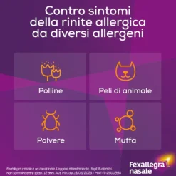 Fexallegra Nasale Spray Fl10Ml