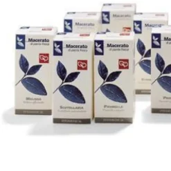 Fitomedical Snc Di Moretti G. Echinacea 100Ml Tm Omeopatia