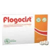 Flogocist Integratore 10 Bustine