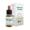 Forza Vitale Italia Ecosol Quintessenza Di Eucalipto Gocce 10 Ml
