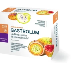 Gastrolum 14X10Ml Stickpack 14 Stick Acidita'