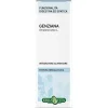 Genziana Radice Soluzione Idroalcolica 50 Ml Ebv