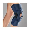Gibaud Ortho Ligagib Ginocchiera Articolata 01