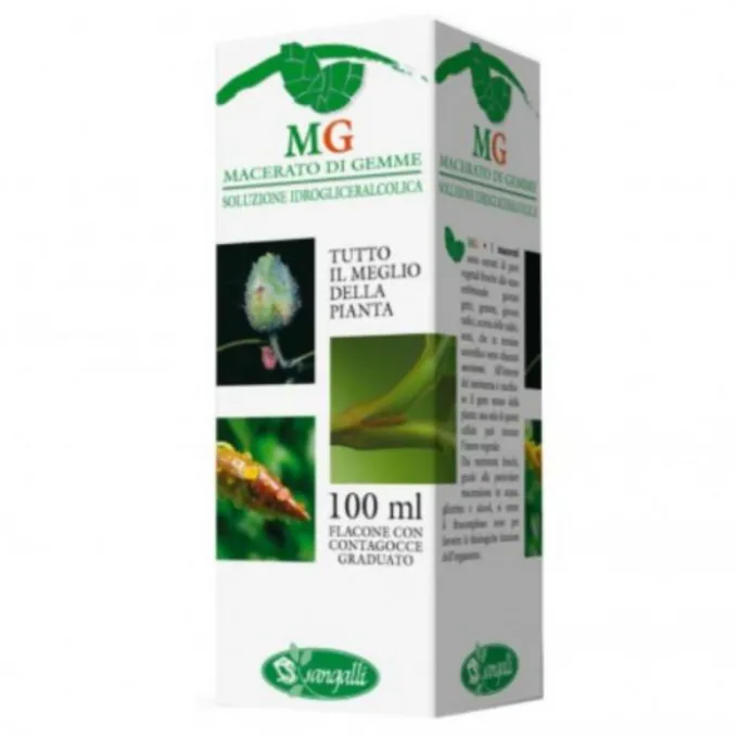 Ginepro Macerato Glicerico 100 Ml Omeopatia