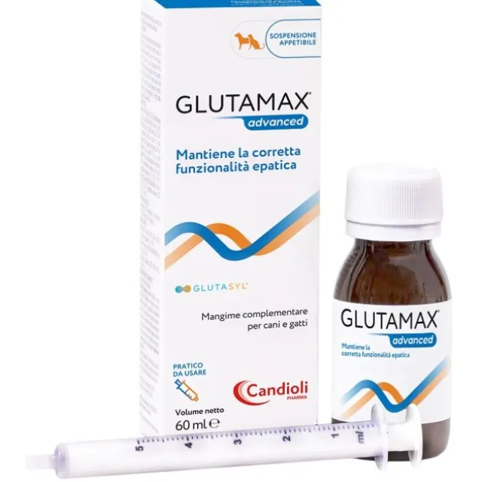 Glutamax Advanced Sospensione 60 Ml