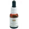 Green Remedies Australian Bush Black Eyed Susan Gocce 15 Ml Omeopatia