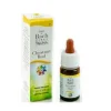 Guna Fiori Di Bach Chestnut Bud Gocce 10 Ml