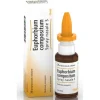 Guna-Heel Euphorbium Compositum Spray Nasale S 20 Ml Omeopatia