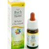 Guna Spa White Chestnut Guna Gocce 10 Ml