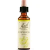 Honeysuckle Bach Original Flower Essences 20Ml