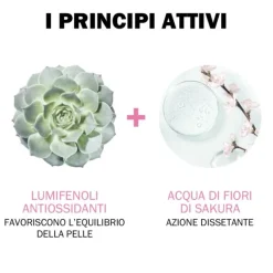 Jowae Crema Viso Idratante Colorata Chiara 30 Ml Cipria-Fondotinta