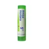 Laboratoires Boiron Srl Arnica Montana 5Ch Granuli 4 G Omeopatia