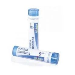 Laboratoires Boiron Srl Arnica Montana 9Ch Granuli 4 G Omeopatia