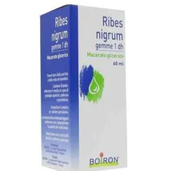 Laboratoires Boiron Srl Ribes Nigrum Gemme Macerato Glicerico 60 Ml