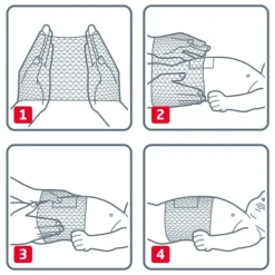 Leukoplast Elastofix Bende Di Fissaggio Ombelico 2.5M 1 Pezzo