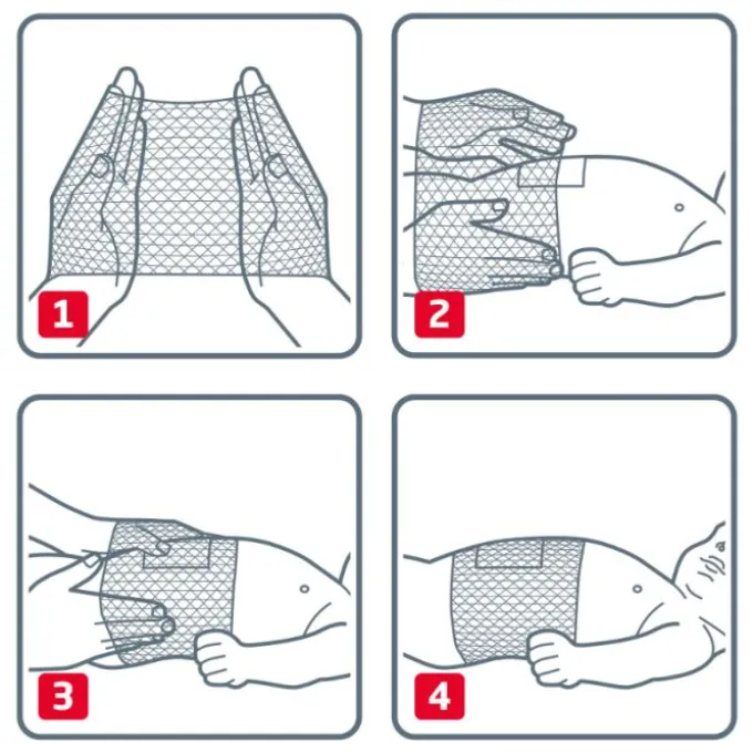 Leukoplast Elastofix Bende Di Fissaggio Ombelico 2.5M 1 Pezzo