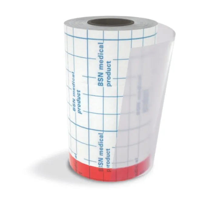 Leukoplast Fixomull Transparent Cerotti Impermeabili 10Cm X 2M