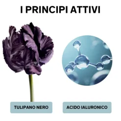 Lierac Homme Fluido Anti-Età Globale Anti-Rughe Idratante Tonificante 50 Ml