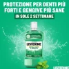 Listerine Difesa Denti E Gengive Collutorio 250 Ml Anti-Placca