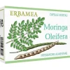 Moringa Oleifera 24 Capsule