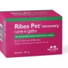 Nbn Lanes Ribes Pet Recovery Integratore Dermatite Cani E Gatti 60 Perle