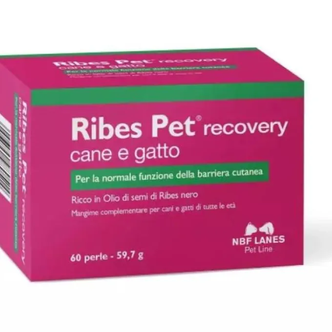 Nbn Lanes Ribes Pet Recovery Integratore Dermatite Cani E Gatti 60 Perle