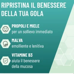 Neoborocillina Propolmiele+ Spray Miele Eucalipto 20 Ml Disinfettanti Bocca E Gola Spray