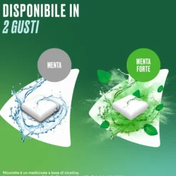 Nicorette 30Gomme Mast 2Mg Men
