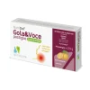 Nutridef Gola & Voce Sugar Free Arancia 20 Pastiglie Disinfettanti Bocca E Gola Pastiglie