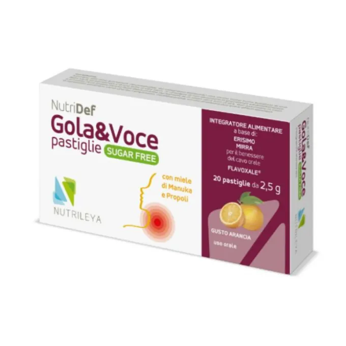 Nutridef Gola & Voce Sugar Free Arancia 20 Pastiglie Disinfettanti Bocca E Gola Pastiglie