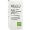 Oti Ribes Nigrum Tintura Madre Gocce 100 Ml