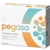 Pegaso Axidophilus Junior 14 Bustine Da 1,5 G
