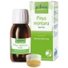 Pinus Montana Macerato Glicerico 60Ml