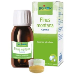 Pinus Montana Macerato Glicerico 60Ml